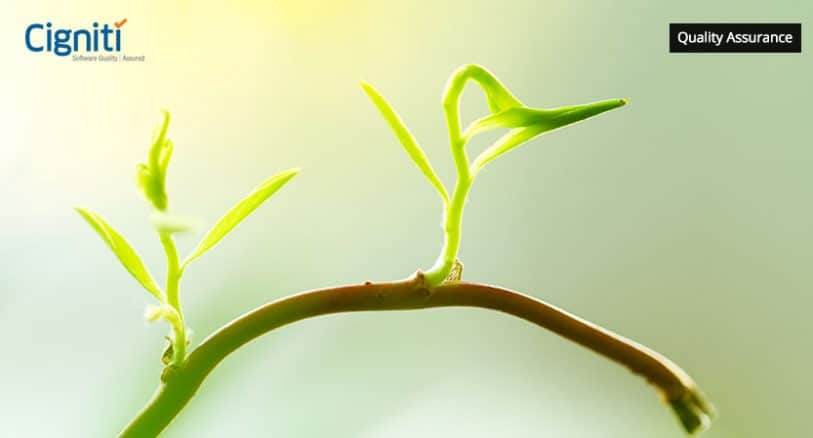 How QA became the way of resilience for global industries in 2020