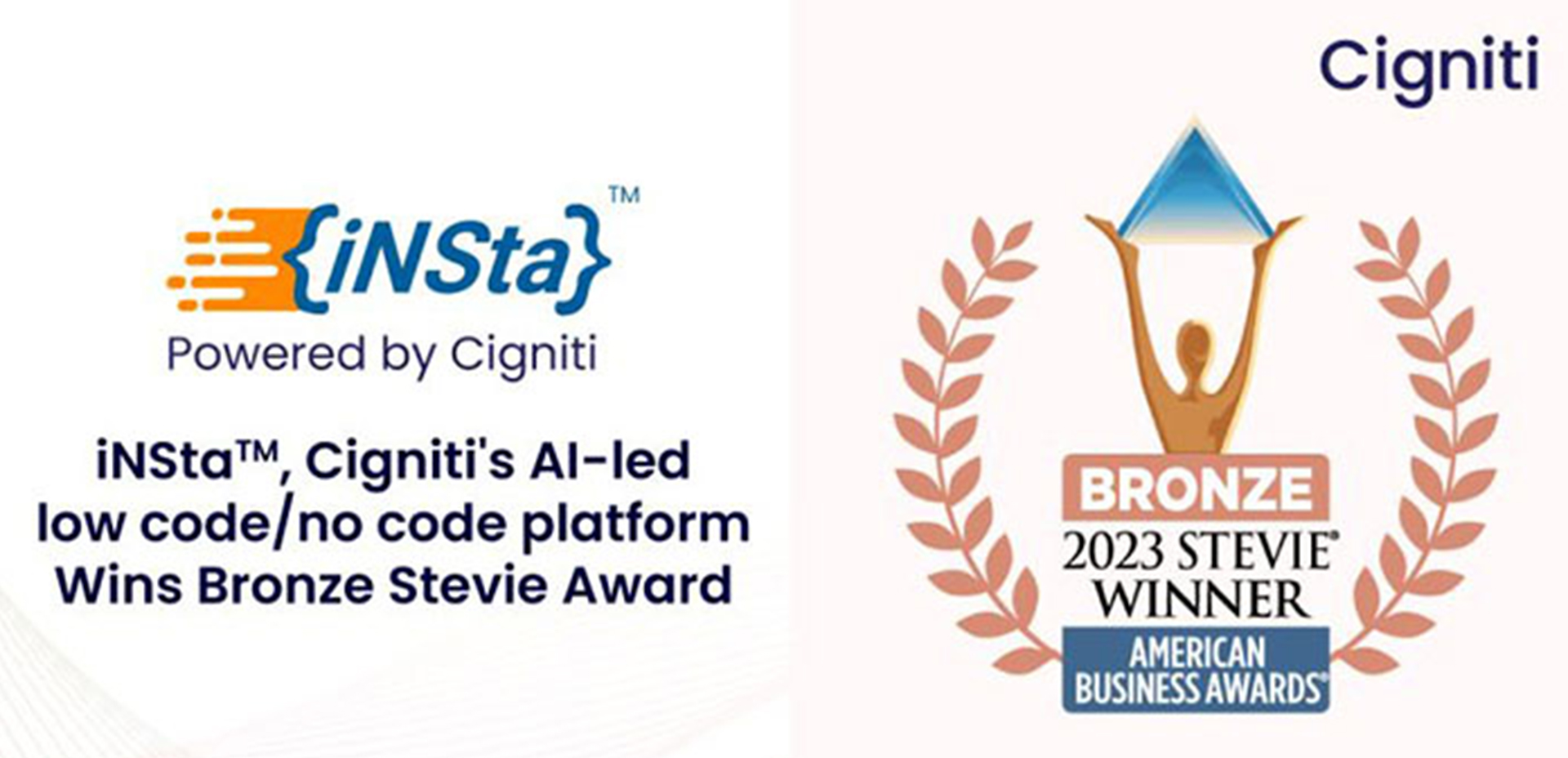 iNStaTM Wins BRONZE STEVIE Award