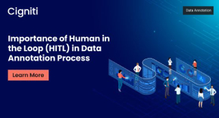 Importance of Human in the Loop (HITL) in the Data Annotation Process